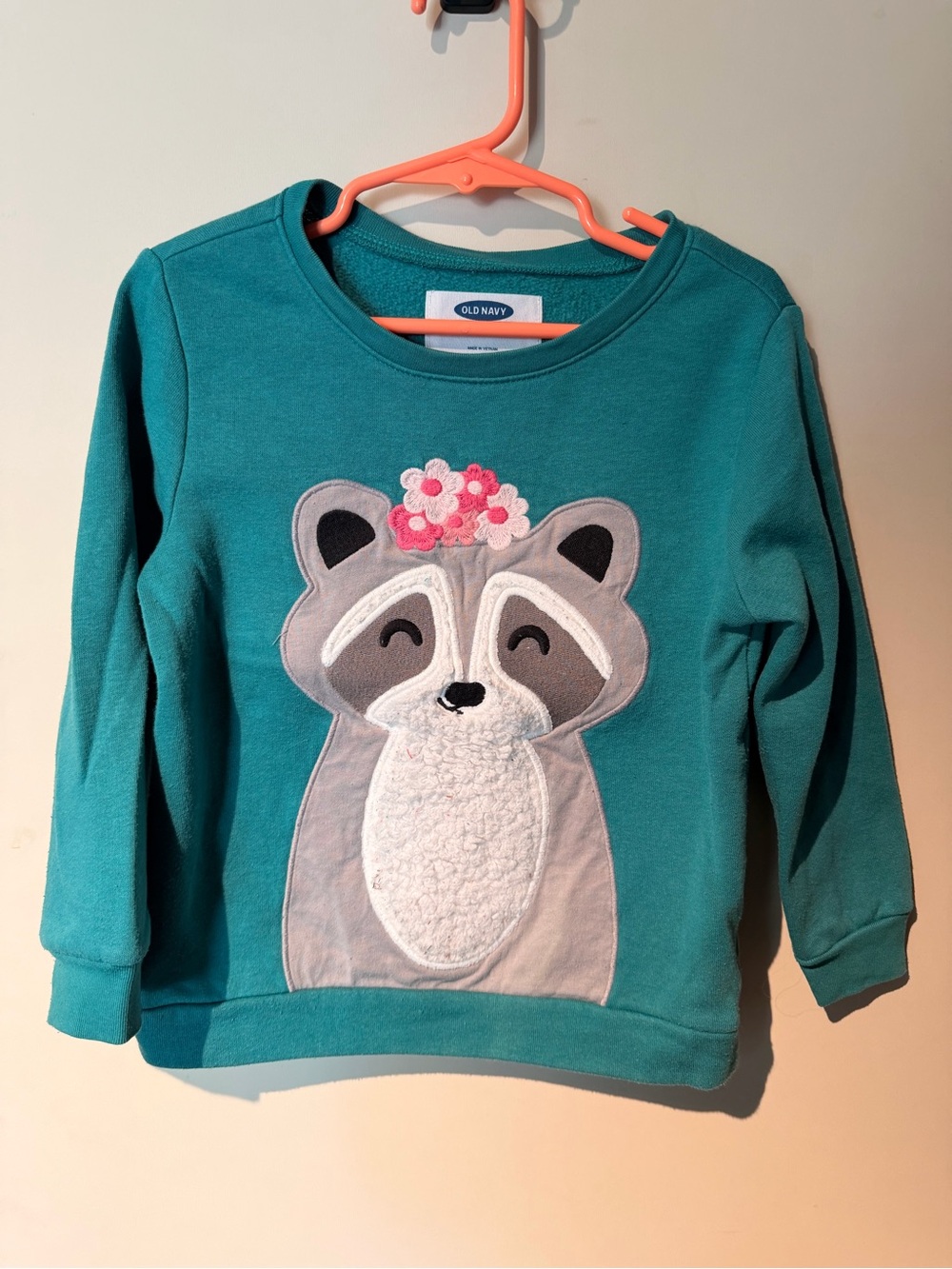 Old Navy Teal Girls' Raccoon Applique Sweatshirt with Floral Accent
